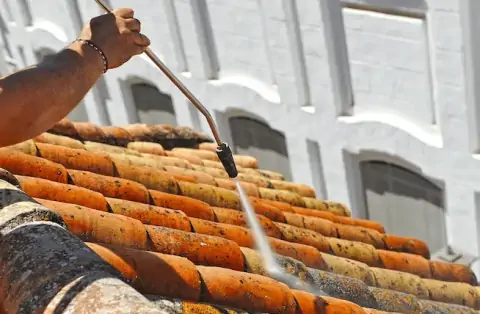 Nettoyage de toitures - Saint-Sigismond